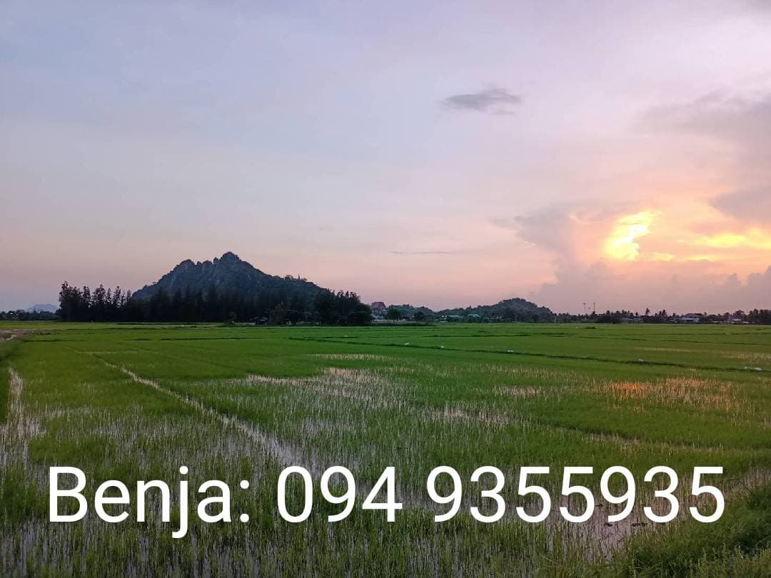ขายที่ดิน ที่เปล่าแปลงใหญ่ ท่ายาง เพชรบุรี 13-1-99