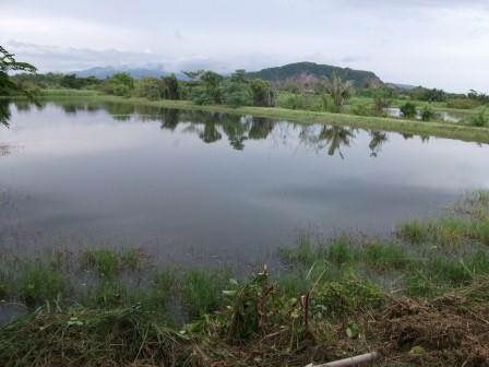 ขายด่วนที่ดินแหลมสิงห์จันทบุรี