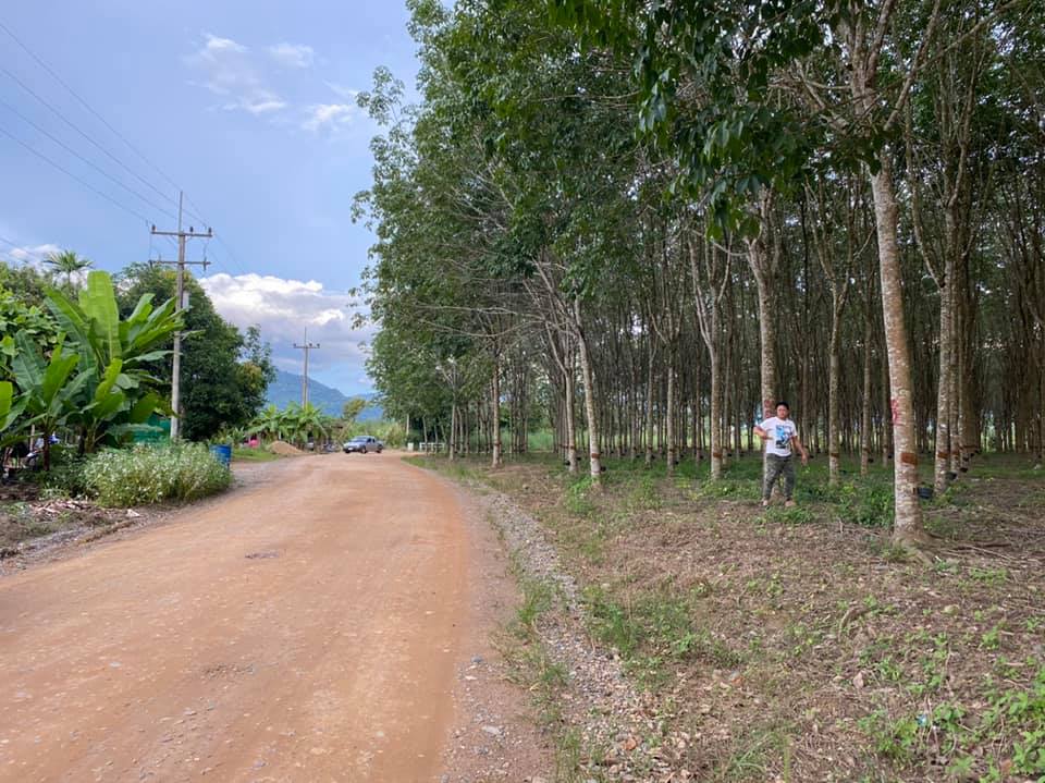 ขายที่ดิน จันทบุรี 11-0-84 ไร่