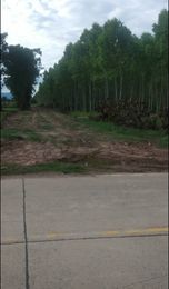 ที่ดินเปล่า กบินทร์บุรี ปี่จีนบุรี 49-2-87