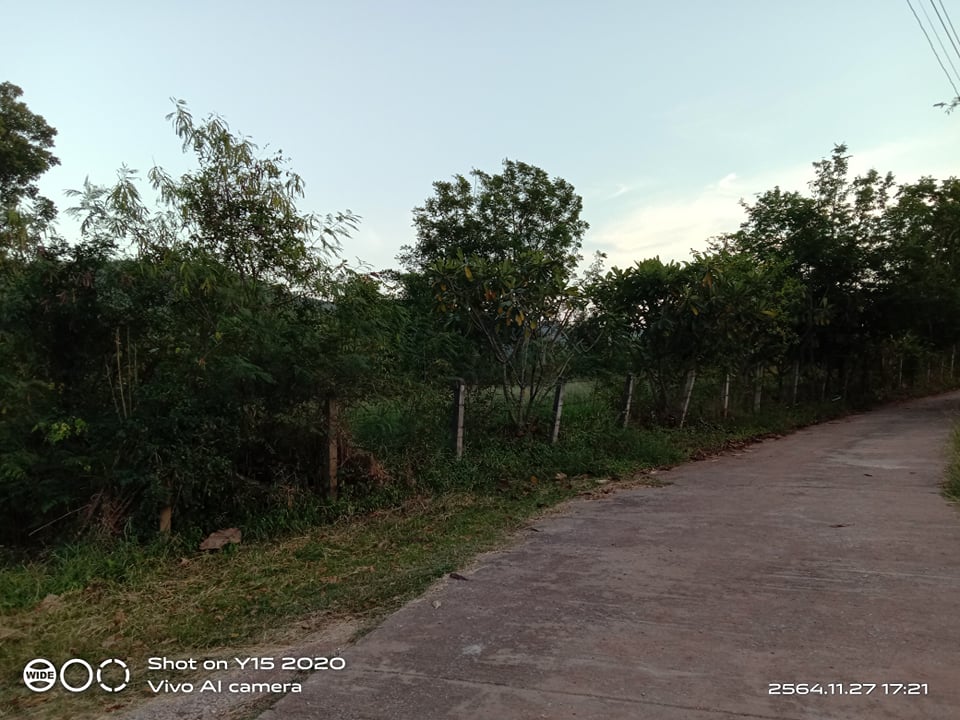 ที่ดินเปล่าบ้านโค้งลำสนธิ ลพบุรี 2-0-24