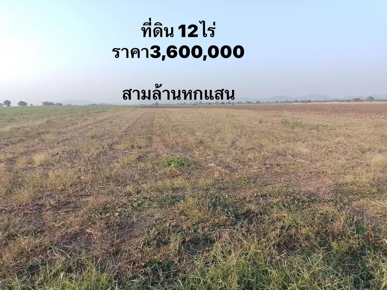 ขายที่ดินลพบุรี ทำเลดี ติดถนนสาธารณะ พัฒนานิคม 12-0-0