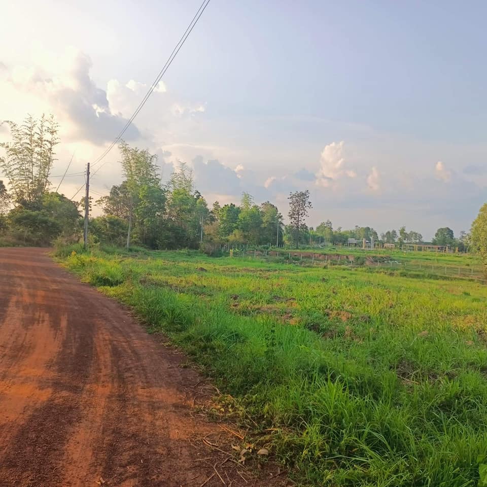 ที่ดิน บ้านใหม่ศรีสุวรรณ  อำเภอเพ็ญ จ. อุดรธานี  11-1-96