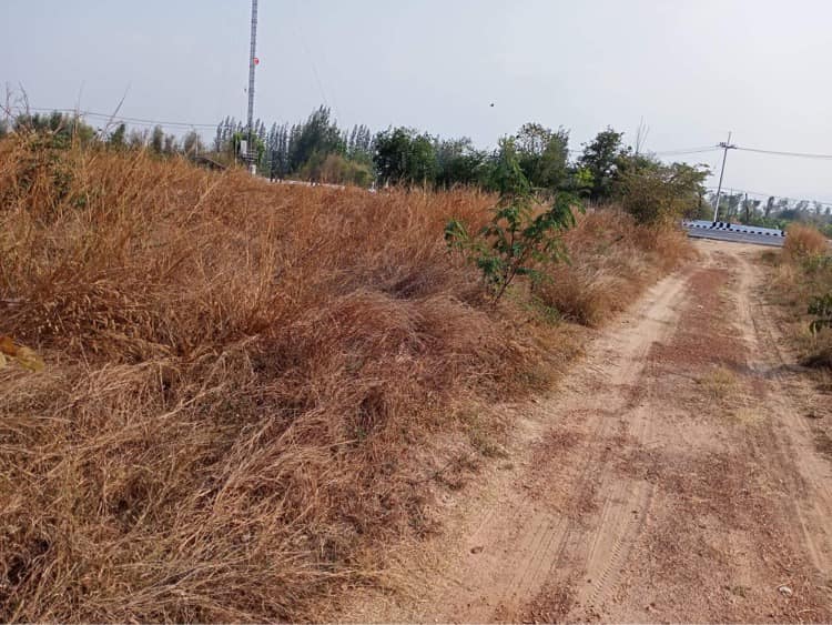 ขายที่ดินราชบุรี เมืองราชบุรี 4-3-72