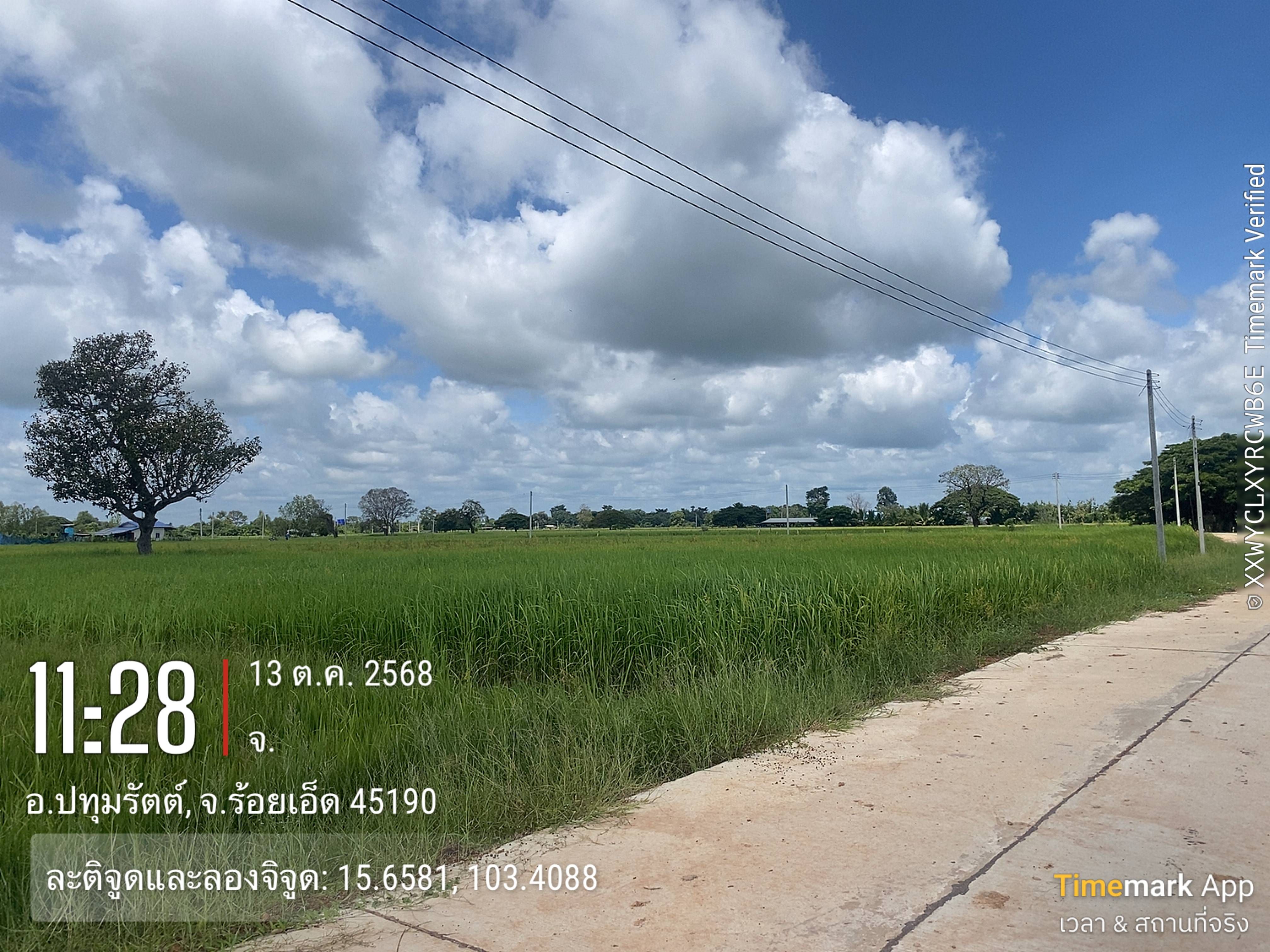 ที่ดินเปล่า