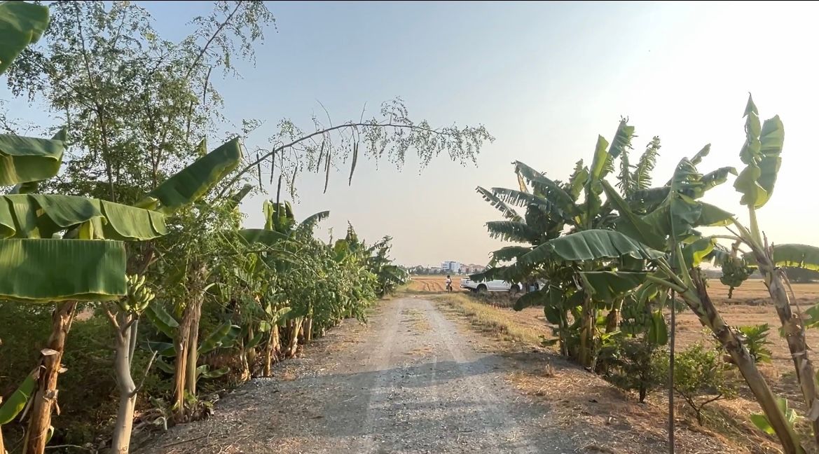 ที่ดินสวยบรรยากาศดี เข้าออกกรุงเทพ-ต่างจังหวัดได้สะดวก