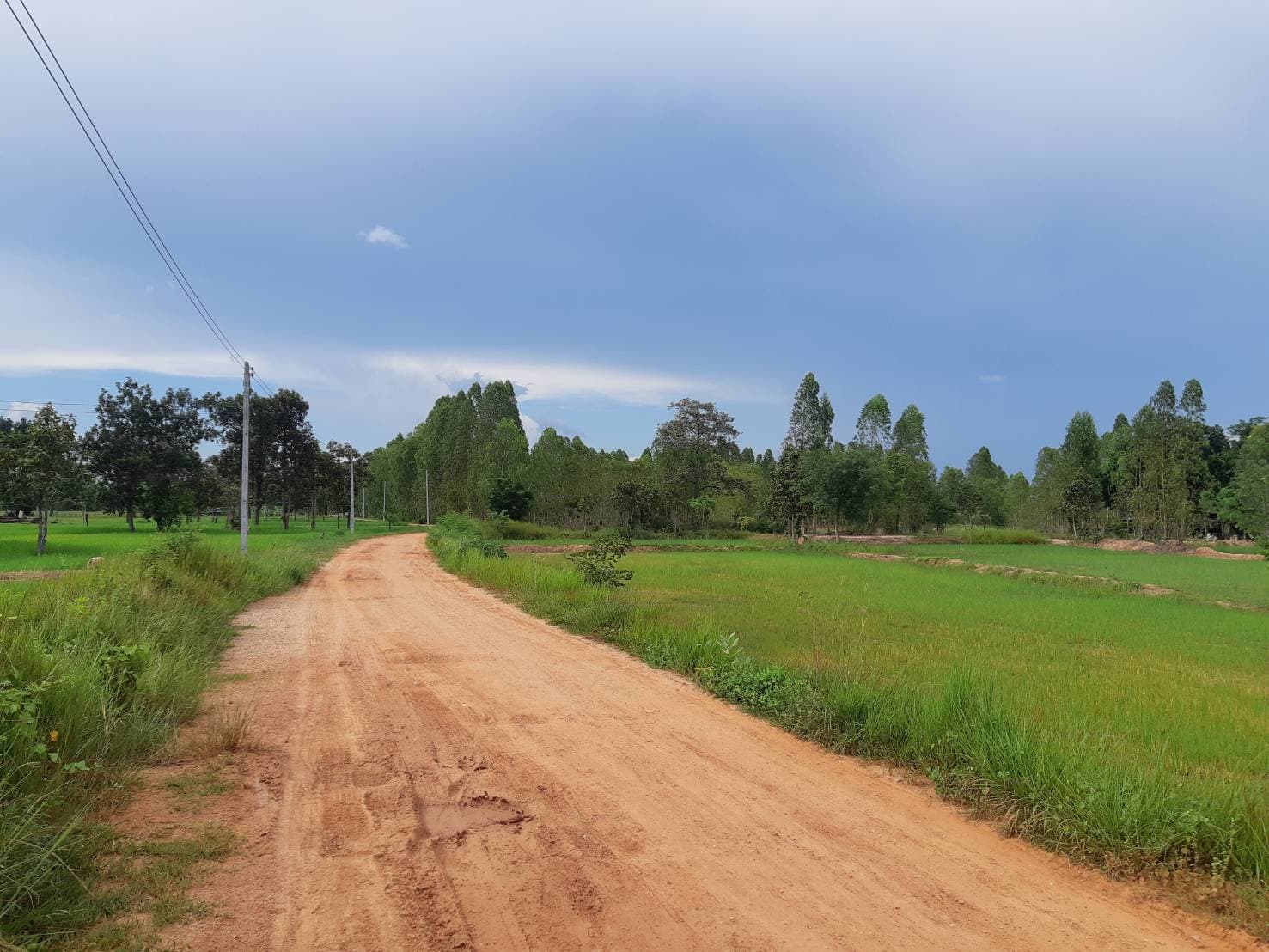 ขายที่ดินขอนแก่น เมืองขอนแก่น 12-0-0