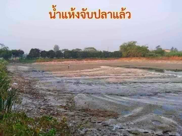 ขายที่ดินนครปฐม เมืองนครปฐม 7-1-47.8