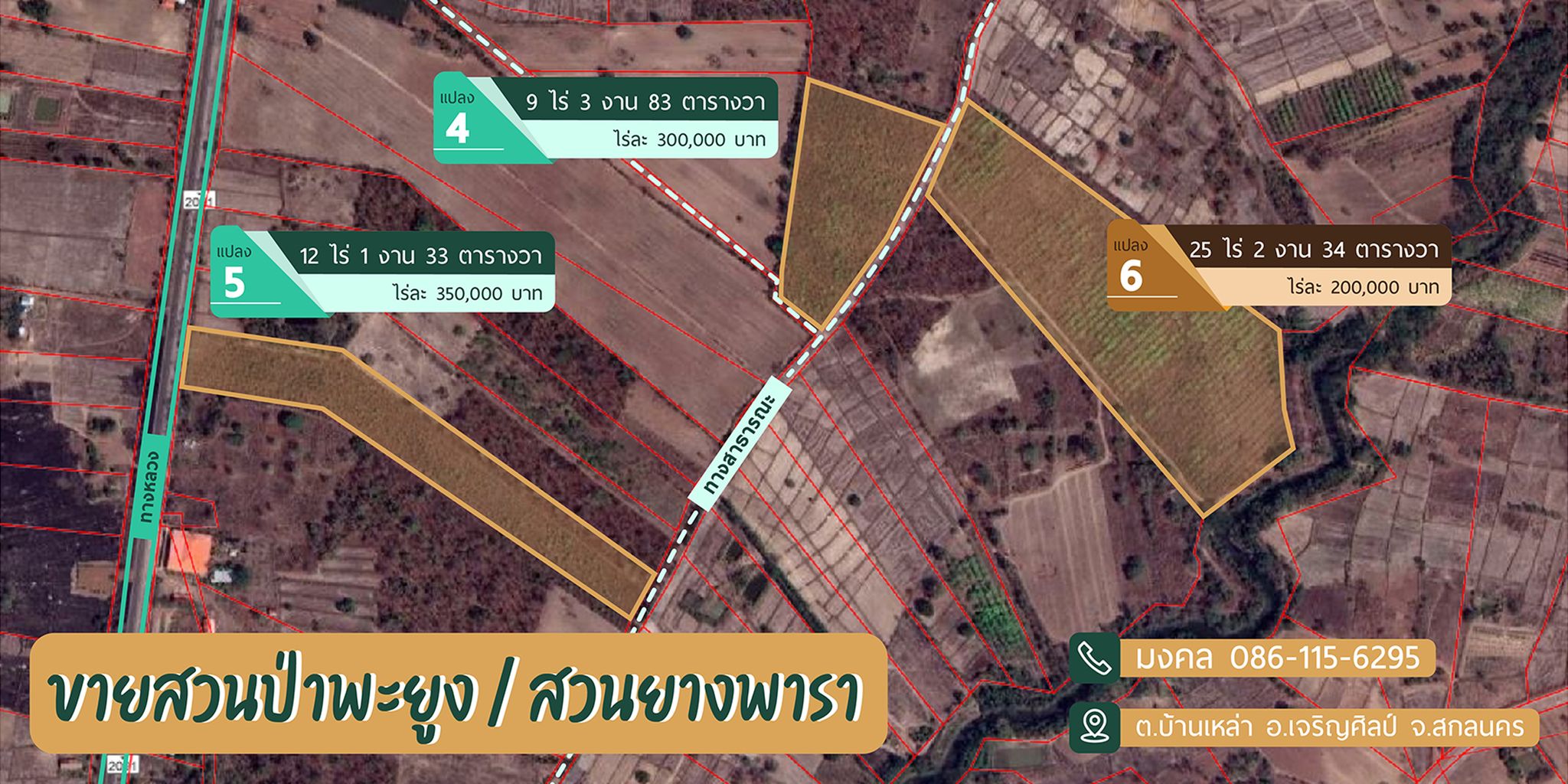 ที่ดิน พร้อมพะยูงไทยอายุ 7 ปี สกลนคร 12-1-33