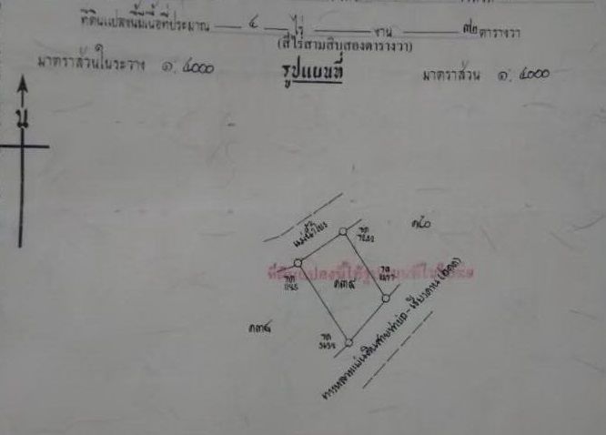 ขายที่ดิน 4 ไร่ ติดริมโขงและติดถนน