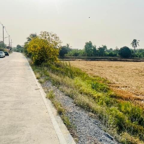ขายที่ดิน 10 ไร่ น้ำ-ไฟถึง ต.คลองโยง อ.พุทธมณฑล จ.นครปฐม  ติดถนนคอนกรีต ติดร้านค้า ร้านอาหาร