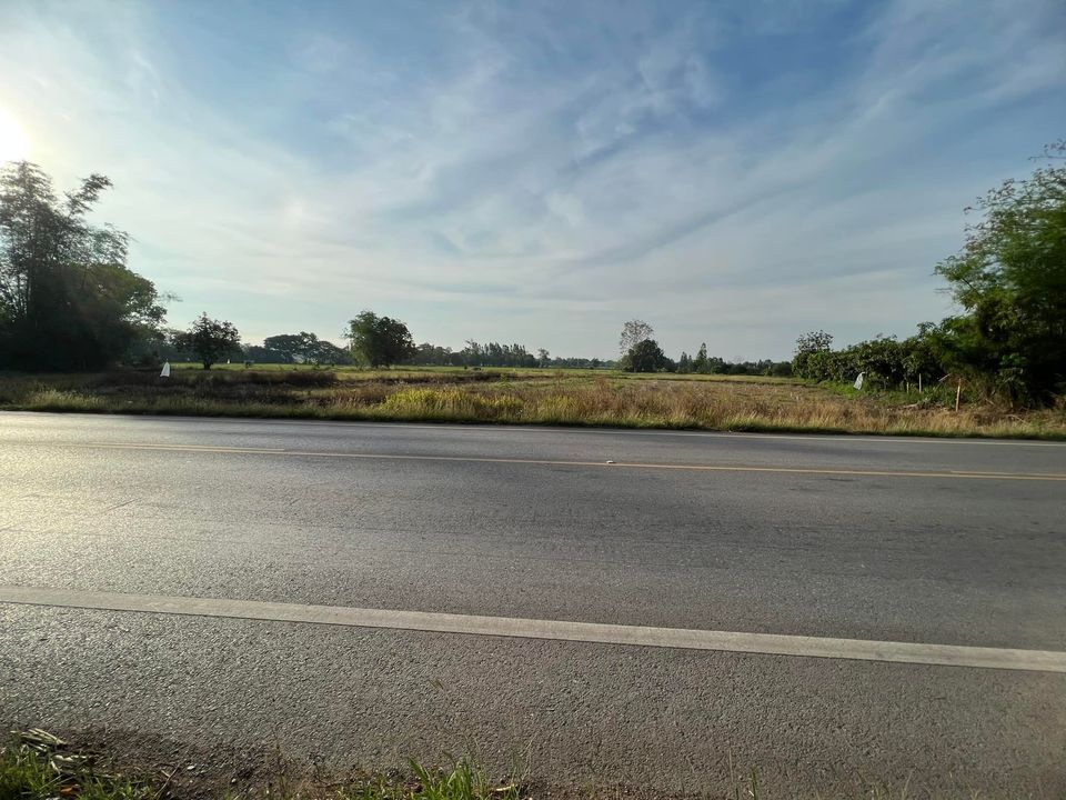 ที่ดินติดถนนหลวงแผ่นดินสายหนองเรือ- หนองแวง  ชัยภูมิ 6-0-61