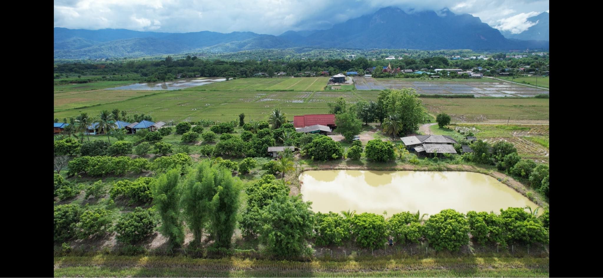 ขายที่ดินร้านอาหารปู๋หลงโต้ง เชียงดาว ตำนวน 30 ปี