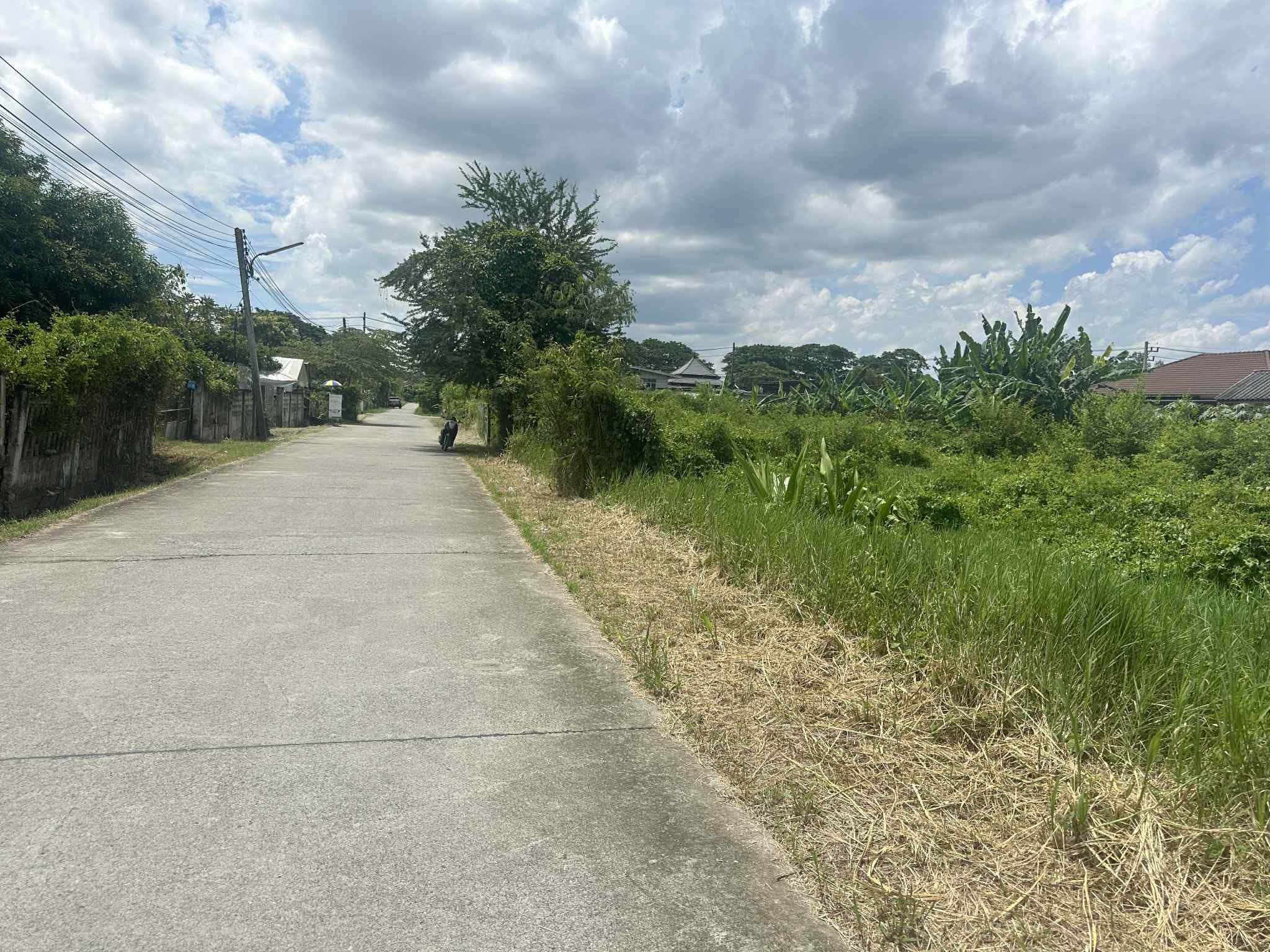 ขายที่ดินเปล่า ใจกลางสันกำแพง เชียงใหม่