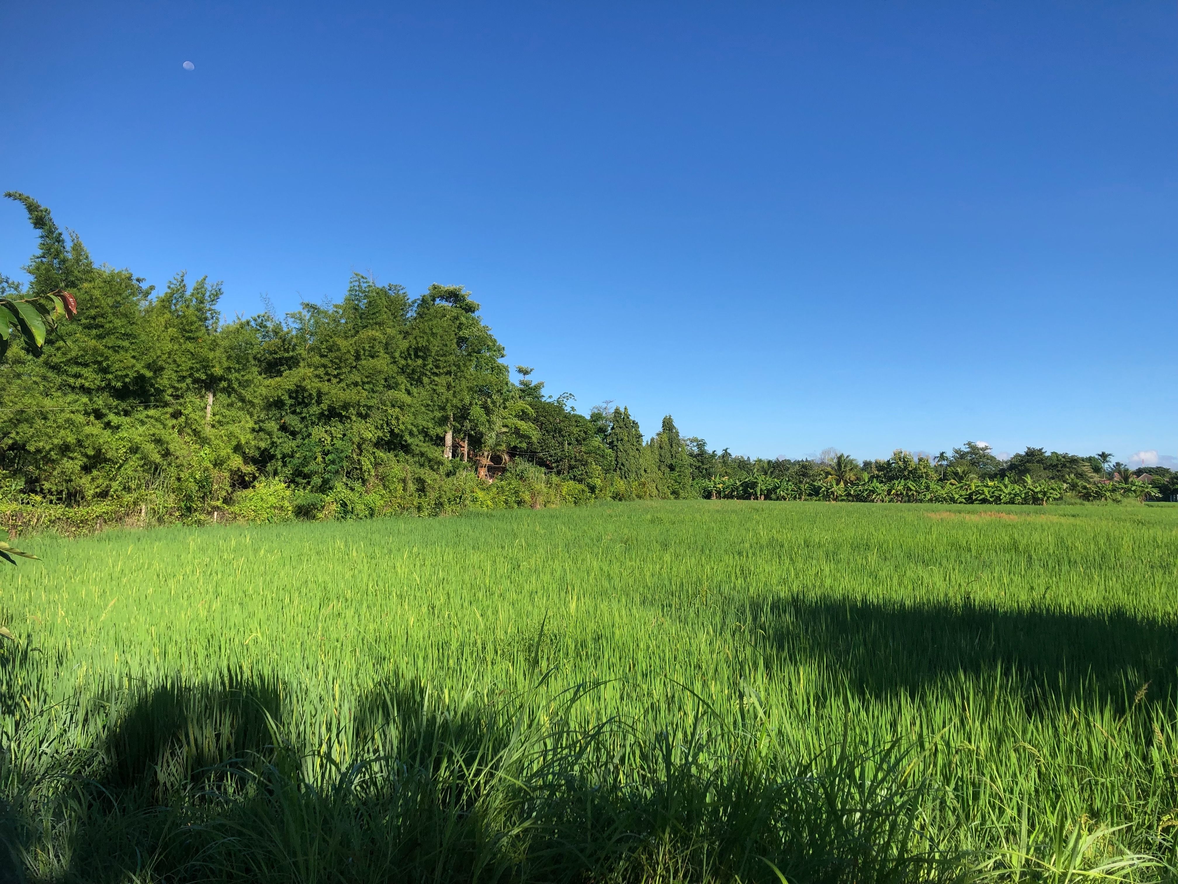 ขายที่ดินวิวสวยธรรมชาติ ติดลำธาร ใกล้ตัวเมือง