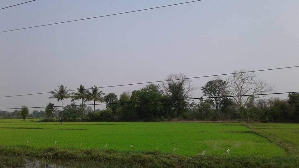 ที่ดินที่นา นครราชสีมา 2-0-0