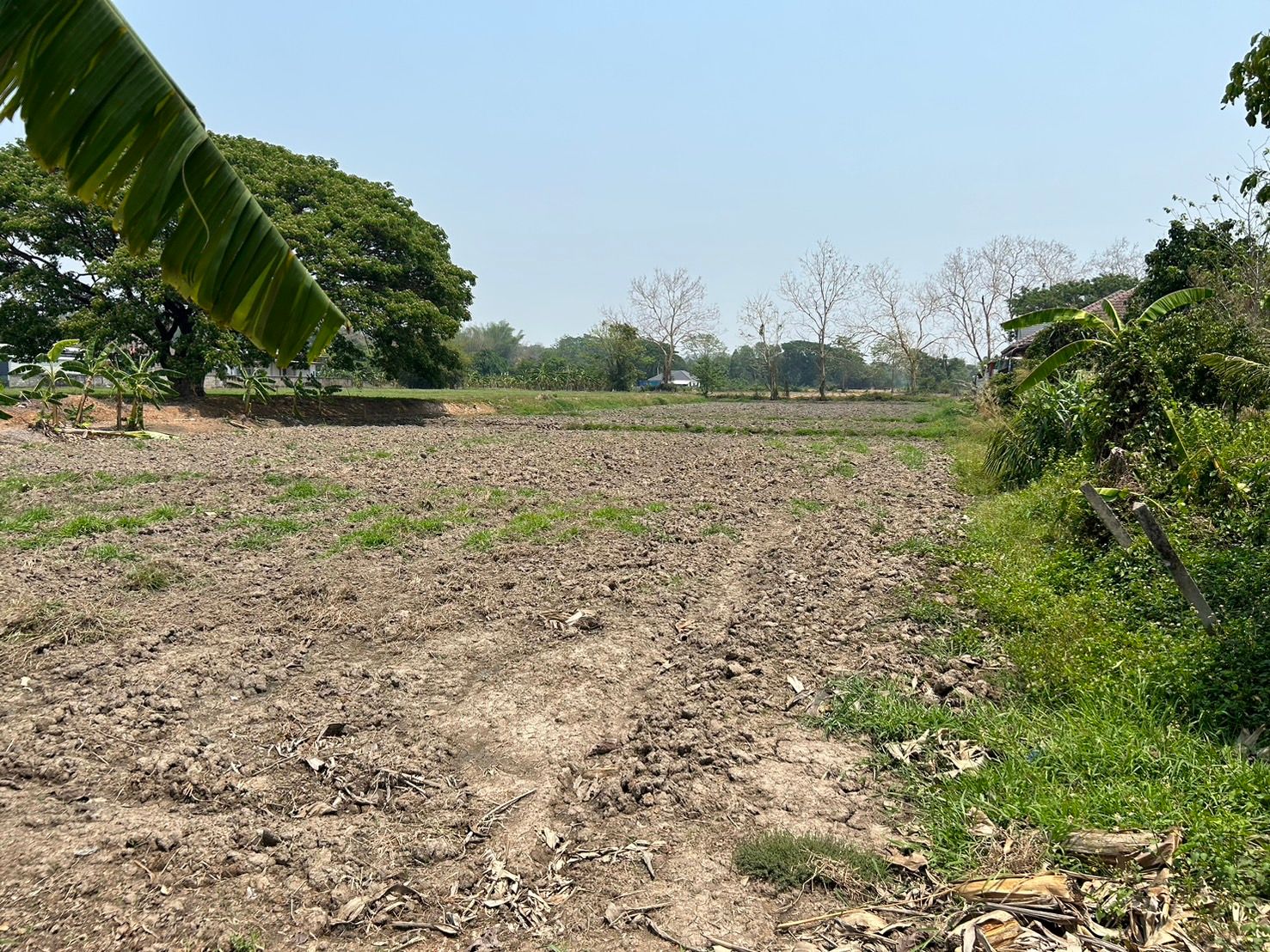ขายที่ดิน ใกล้ ไร่แม่ฟ้าหลวง เชียงราย 2-3-74.2  ไร่