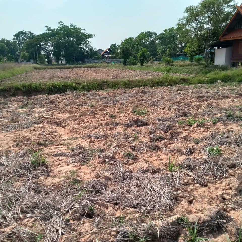 ที่ดินเปล่า น้ำไฟสะดวก บ้านฝาง ขอนแก่น 1-0-88