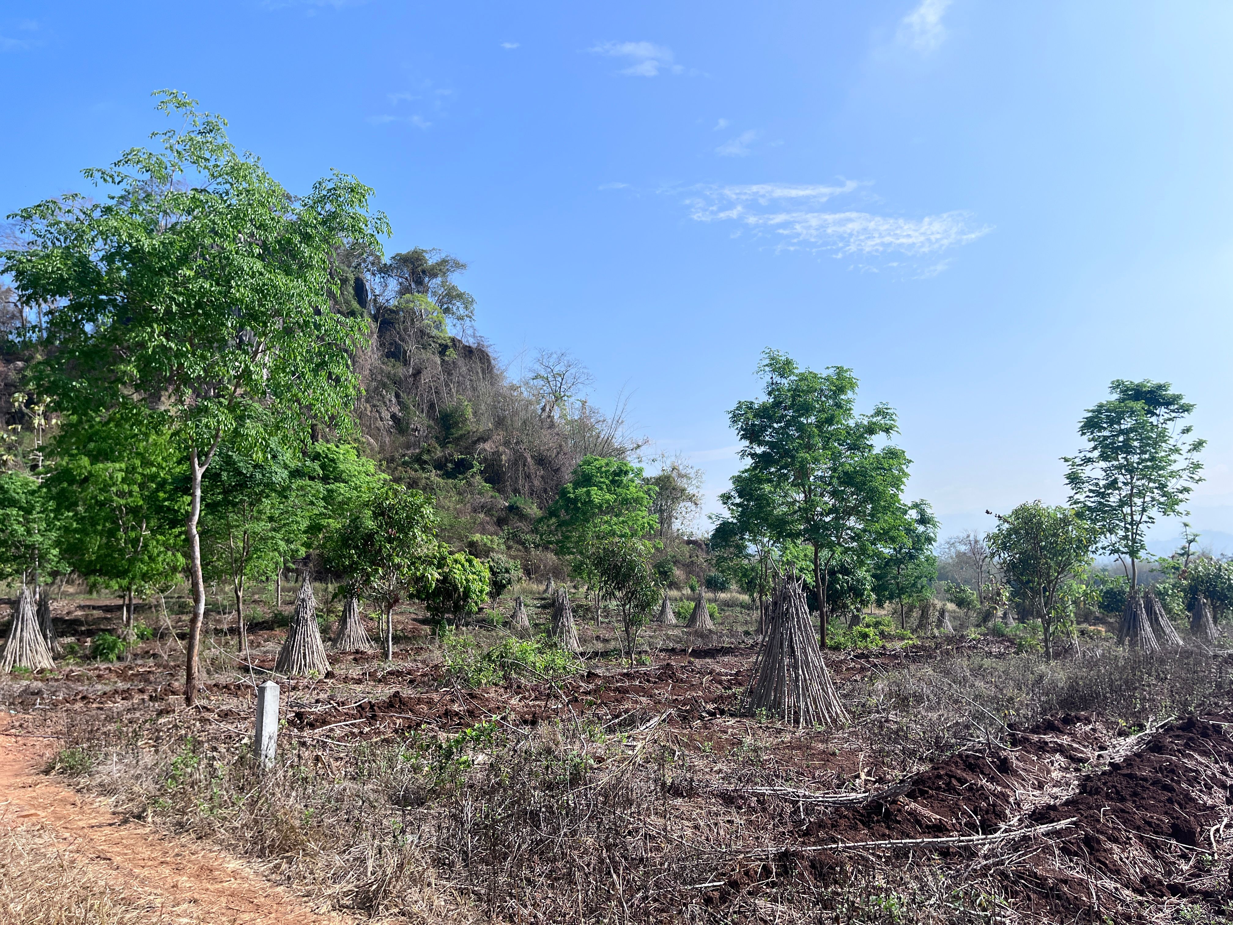 ขายที่ดินกาญจนบุรี ทองผาภูมิ 2 ไร่