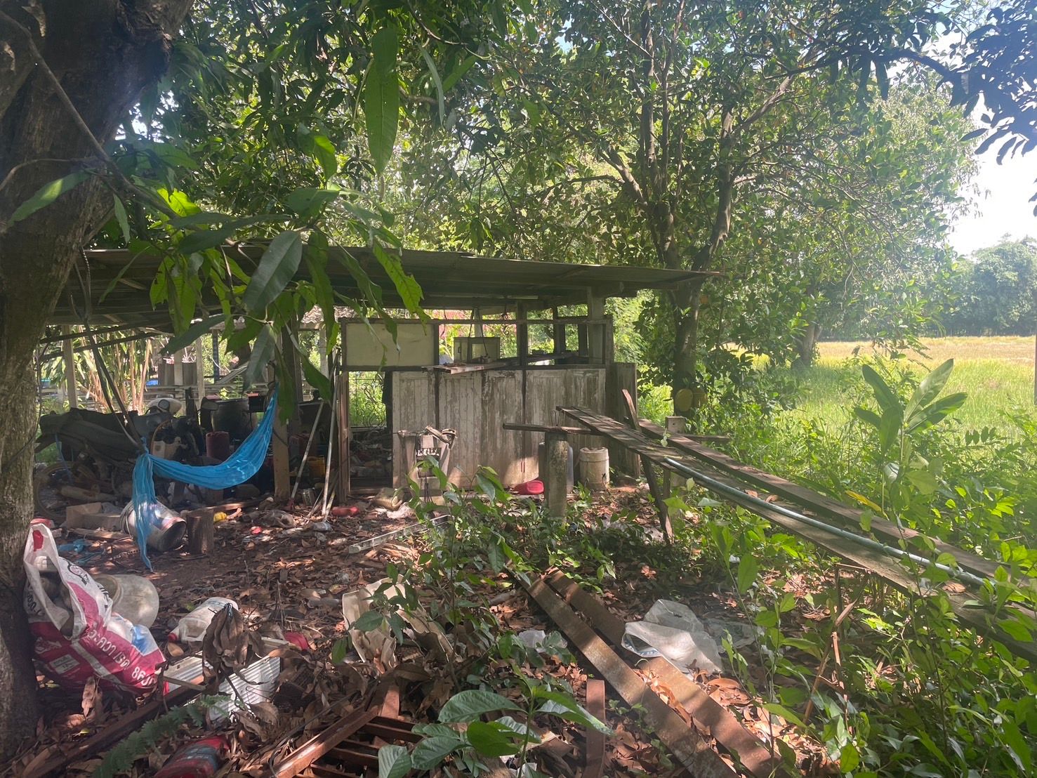 ที่ดินทำเลดี หนองจิก สระบุรี
