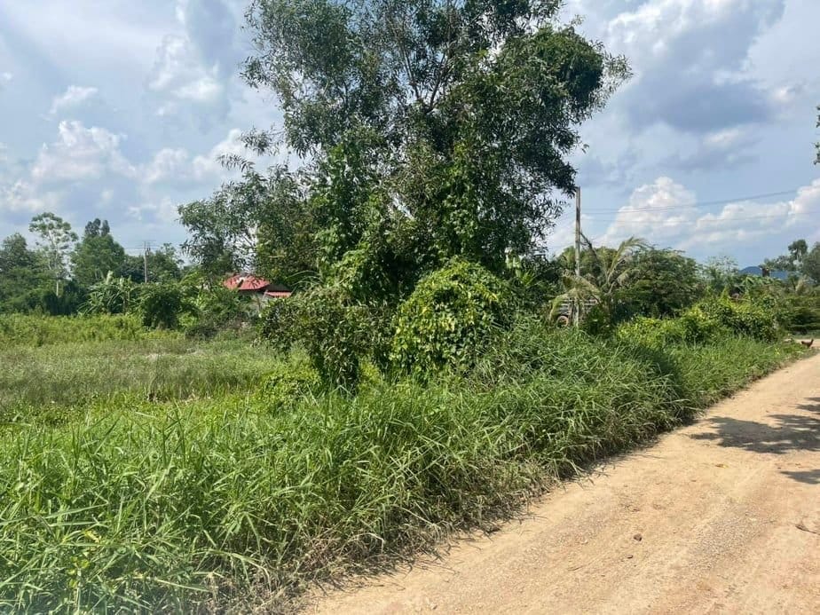 ขายที่ดิน หนองจอก 190 ตรว.