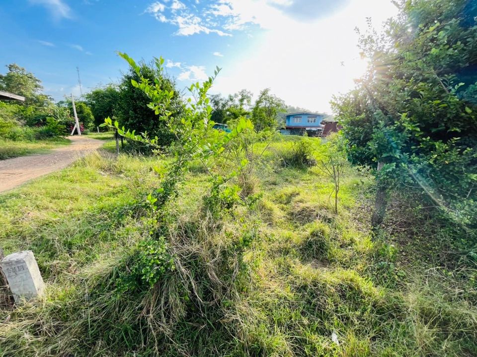 ที่ดินราคาถูกและสวย เดิมนางบวช สุพรรณบุรี 170 ตรว.