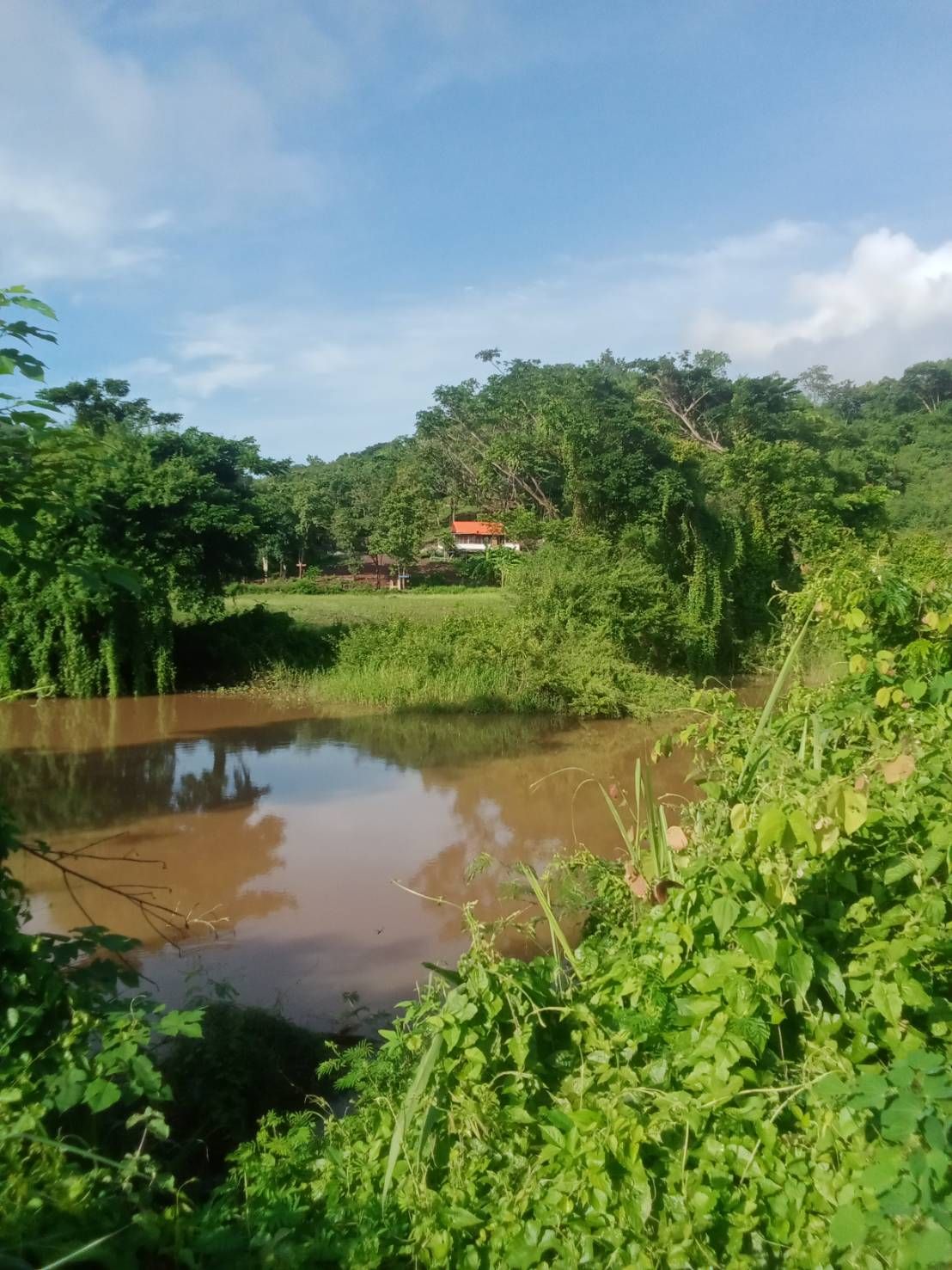 ขายที่ดิน วิวภูเขา เหมาะทำบ้านพักตากอากาศ