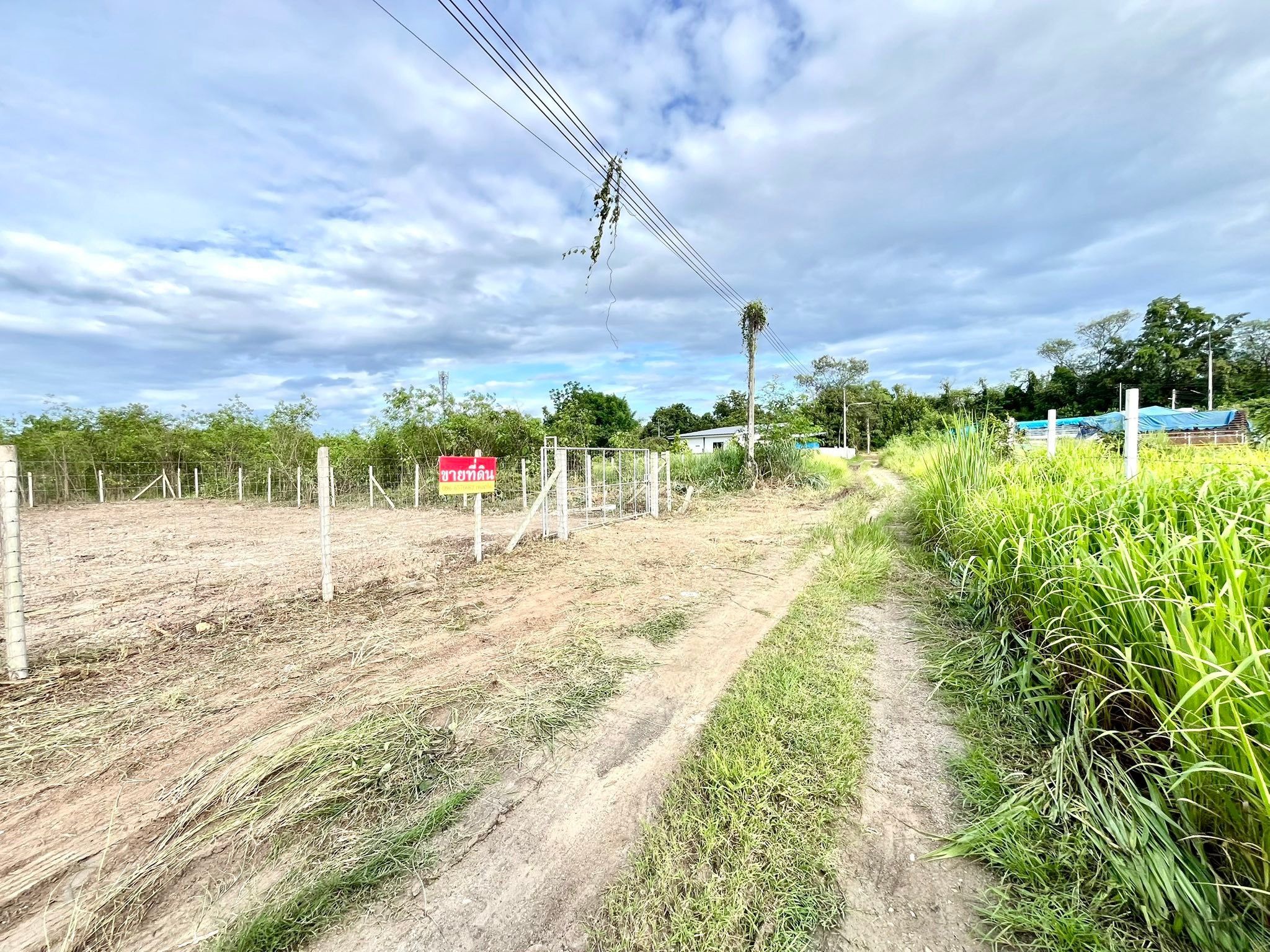 ขายที่ดิน 120 ตรว. ด้านหลังโรงเรียนสันป่าตองวิทยาคม