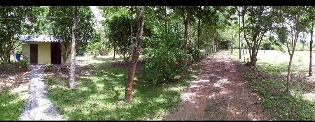 ที่สวยราคาถูก