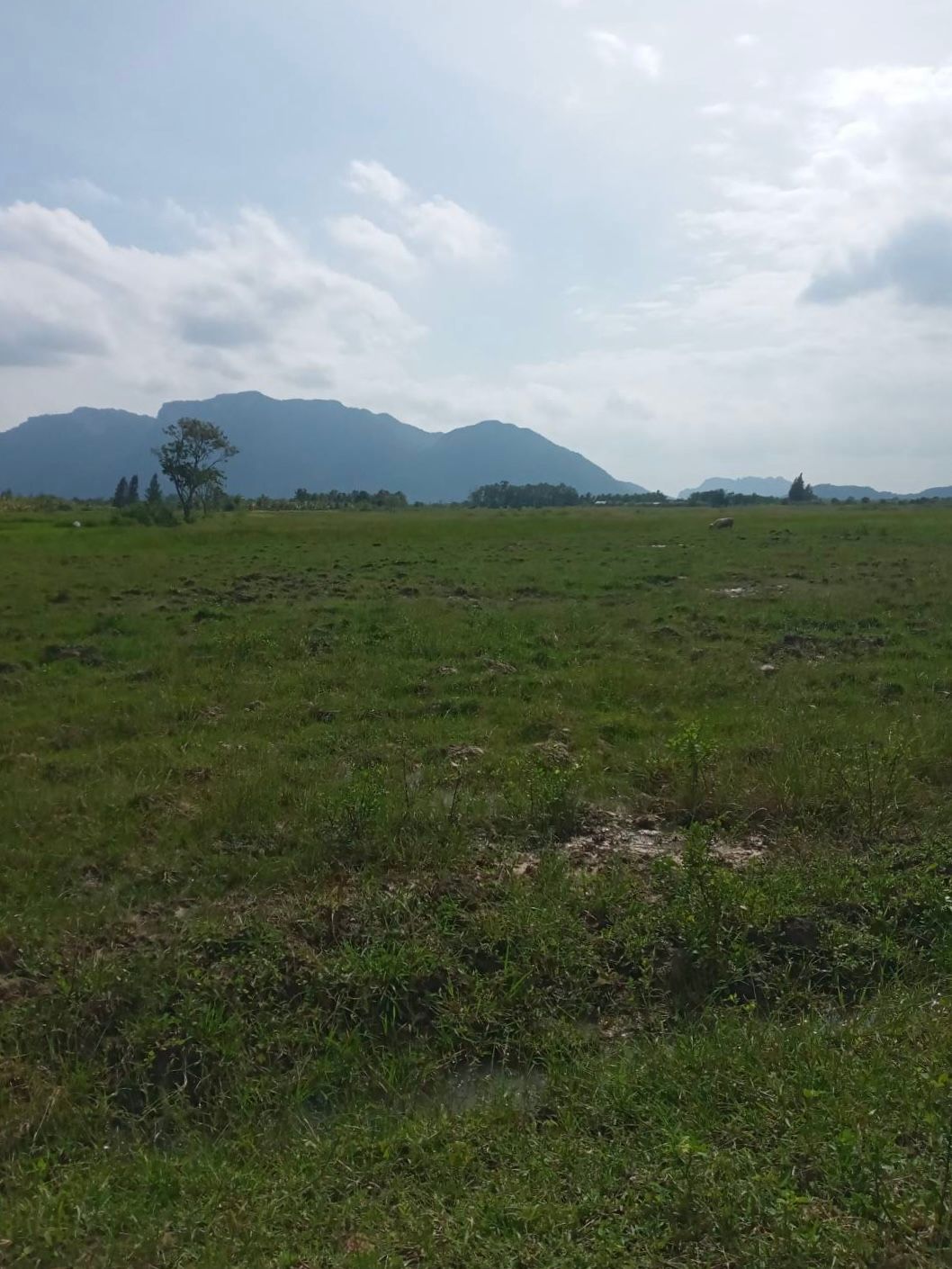 ขายที่ดินกุยบุรี ประจวบคีรีขันธ์ วิวภูเขา บรรยากาศดี