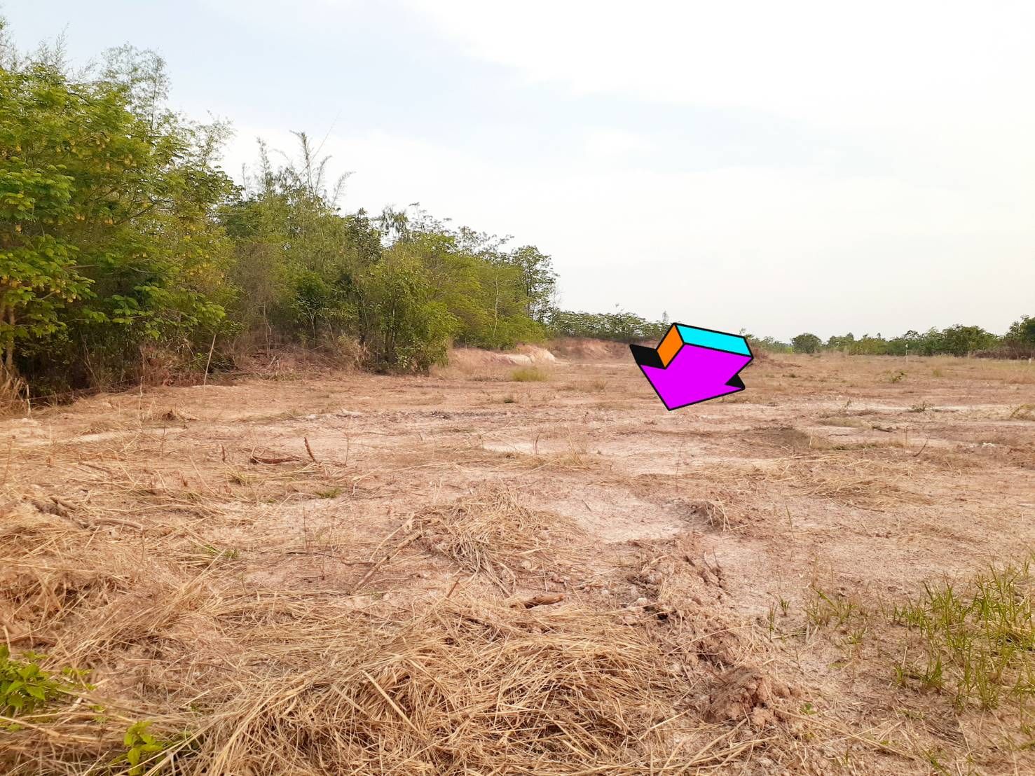 ขายที่ดินเมืองหนองบัวลำภู หนองบัวลำภู