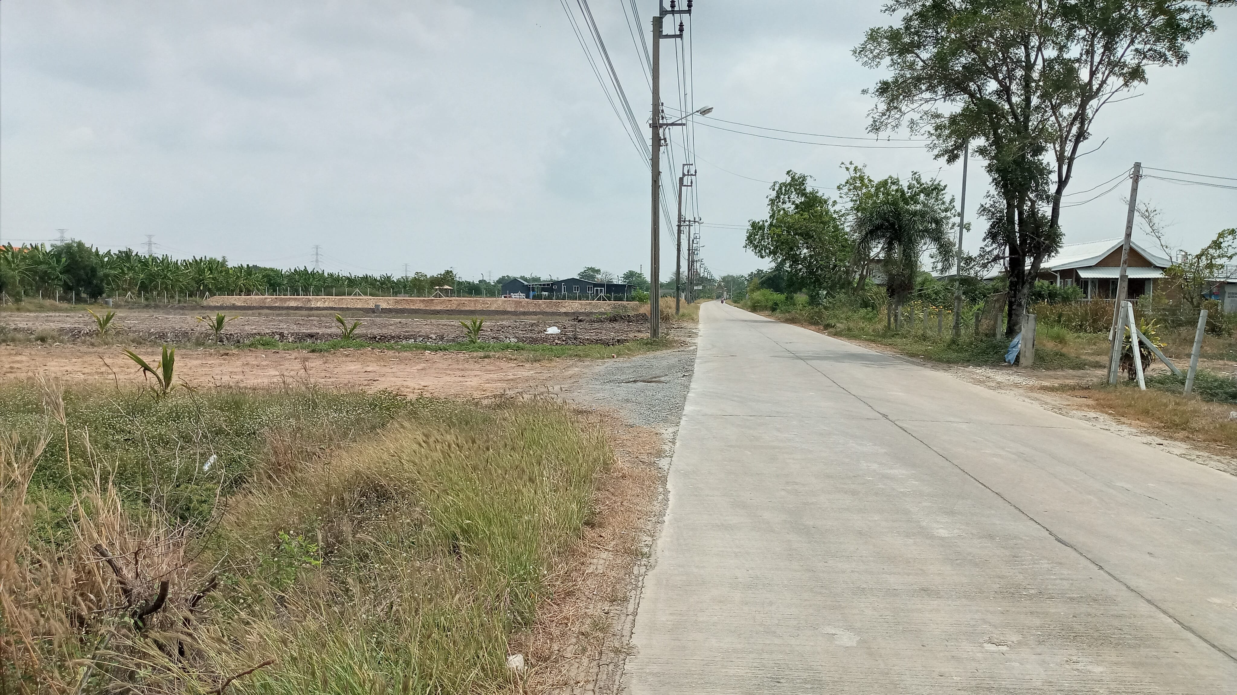 💥 ขายที่ดินสวยๆ ใกล้แหล่งชุมชน  📌 ที่ดิน 1 ไร่ ติดถนนซอยวัดใหม่เจริญราษฎร์ หนองจอก กรุงเทพฯ 
