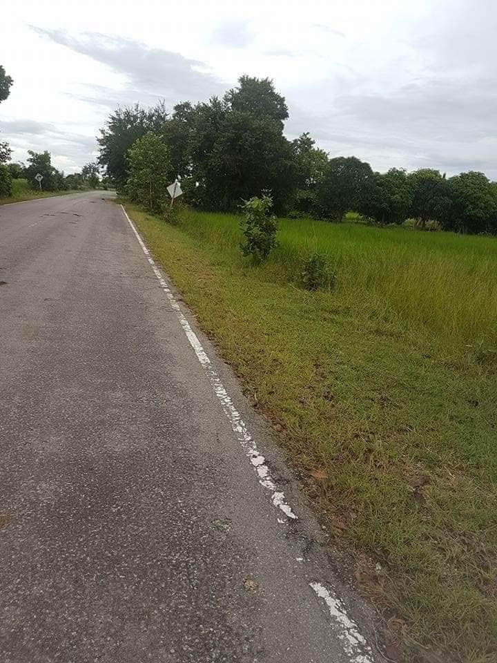 ที่ดินที่นา เมืองชัยภูมิ 9-0-97