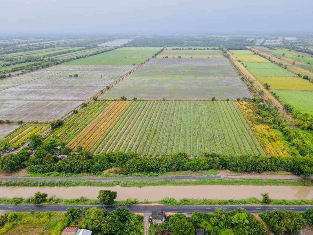 ขายที่ดินสระบุรี แปลงใหญ่ ติดถนนสาธารณะ น่าลงทุนมาก 
