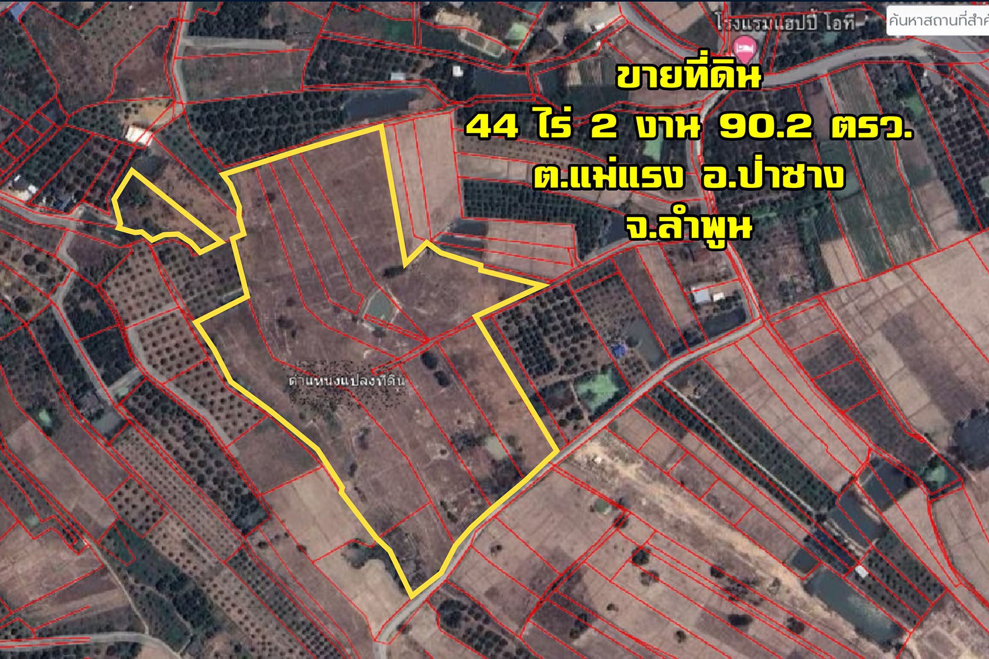 ขายที่ดิน ดอนตอง ผืนใหญ่ ต.แม่แรง อ.ป่าซาง จ.ลำพูน