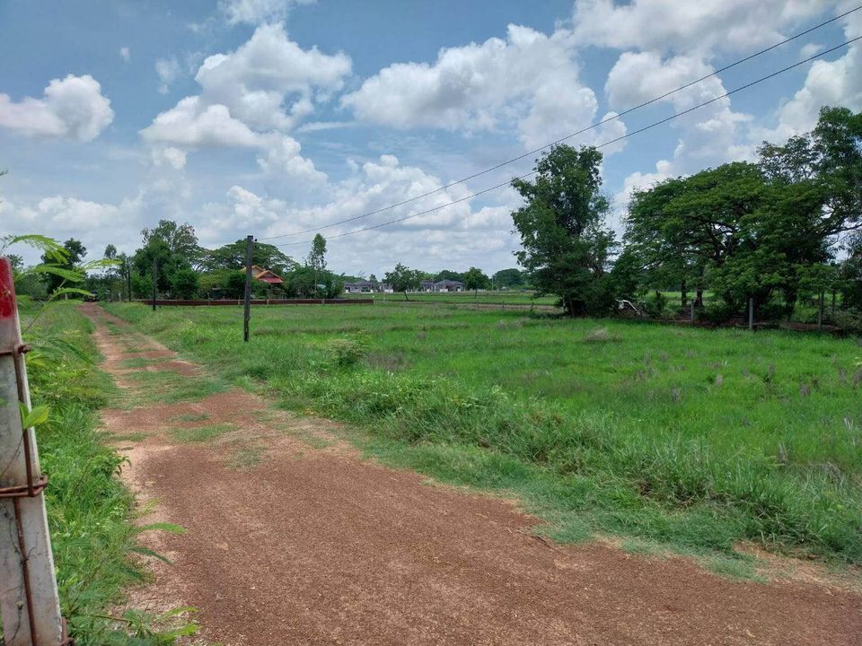 แนะนำที่ดินสร้างบ้าน 100 ตรว. 450,000 บาท หลังตลาดไทยศิริ3 อ.เมือง จ.อุดรธานี