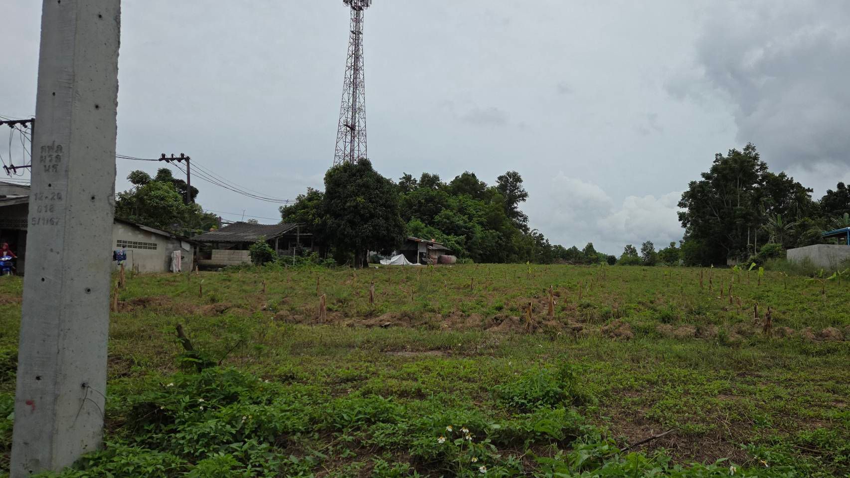 ที่ดินติดถนนหลวง ใกล้โรงพยาบาลเขาพนม จ.กระบี่