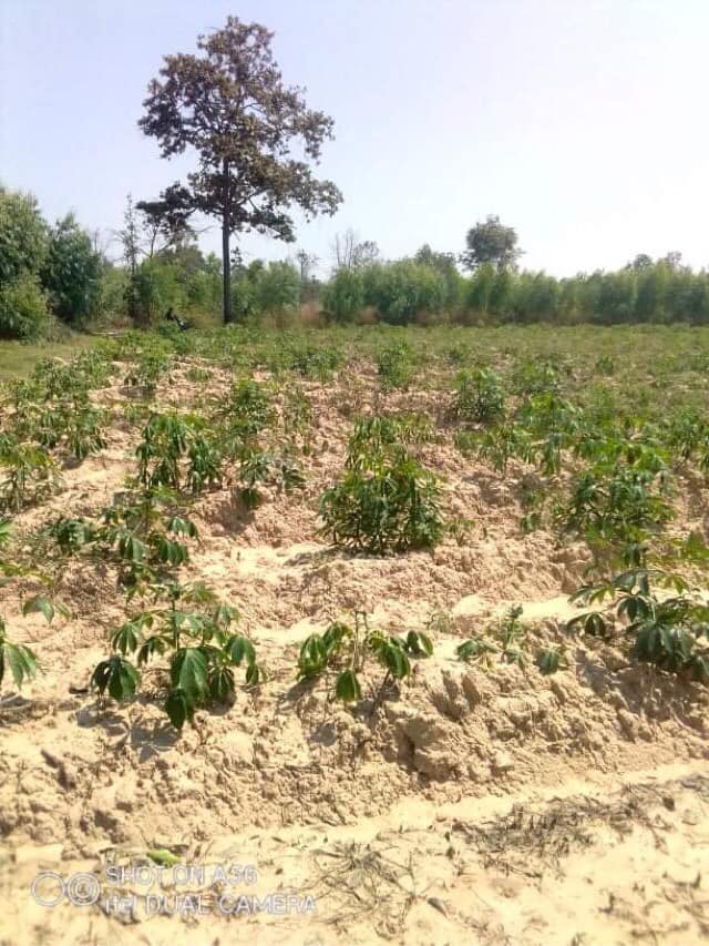 ที่ดินเปล่าราคาถูก บ้านฝาง ขอนแก่น 39-1-34