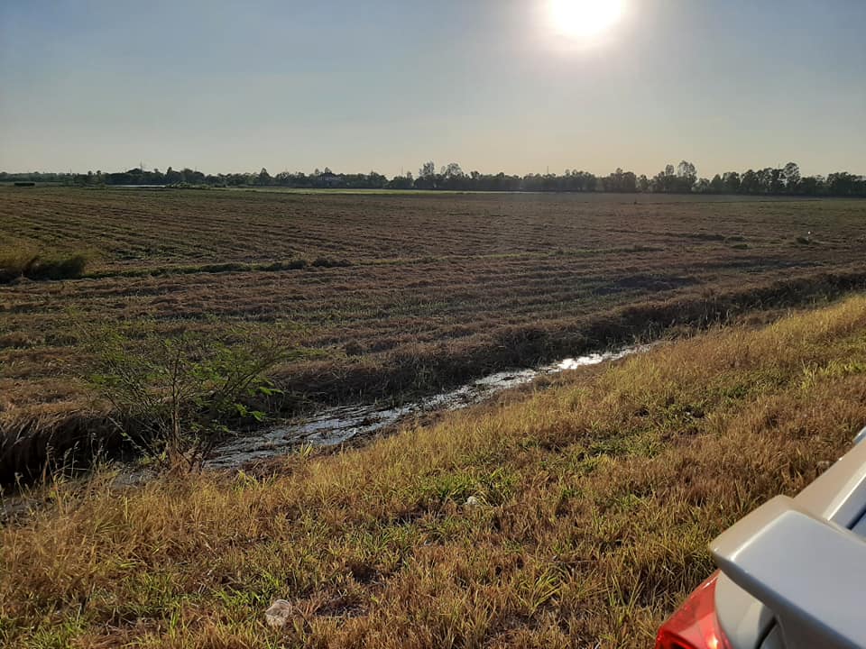 ที่ดินทุ่งนา ปราจีนบุรี 8-3-47