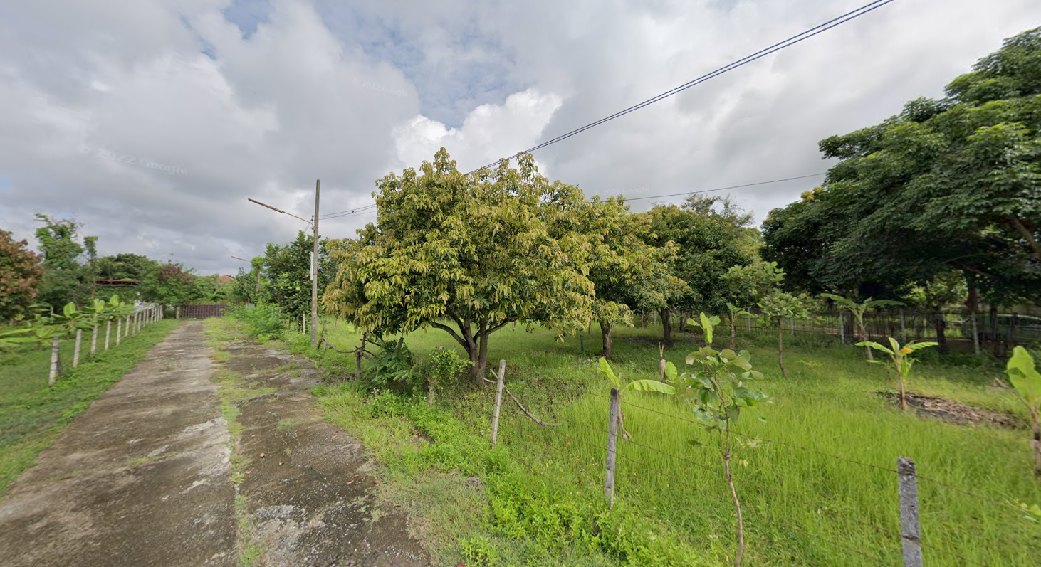 ขายที่ดินเชียงใหม่ สันกำแพง 270 ตร.ว.