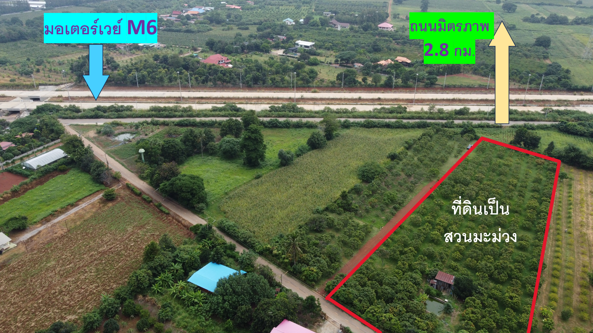 ขายที่ดินนครราชสีมา ปากช่อง ที่ดินสวย วิวธรรมชาติ บรรยากาศดี