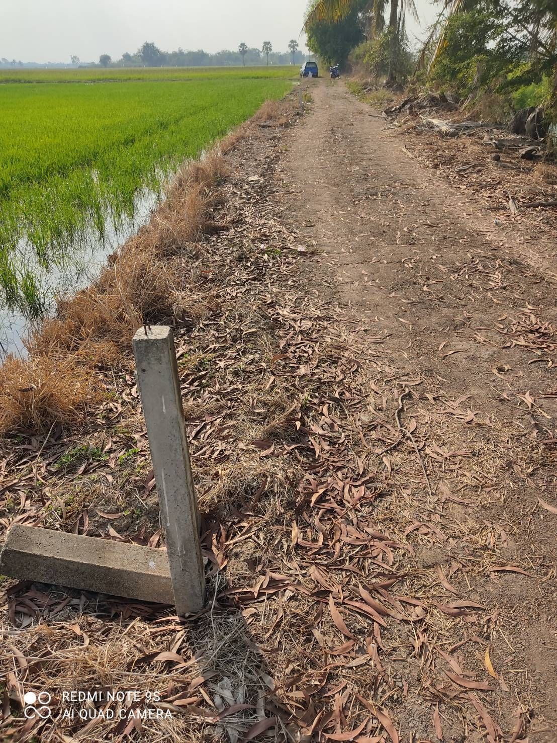 ขายที่ดินกรุงเทพ เขตหนองจอก ที่ดินเปล่าแบ่งขาย แปลงสวย น่าลงทุน