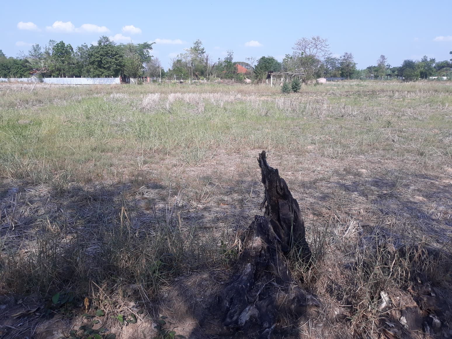 ที่ดินเปล่า ใกล้เลี่ยงเมืองขอนแก่น 1 ไร่