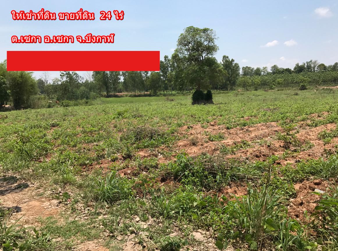 ขายที่ดินทำการเกษตร 24 ไร่