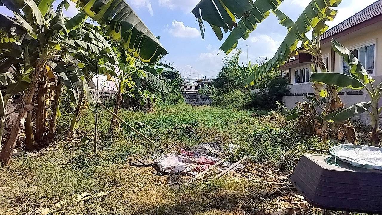 ขายที่ดินสระบุรี แปลงสวย ทำเลดี ใกล้โรงเรียนเทศบาลหินกอง หนองแค สระบุรี 0-0-73