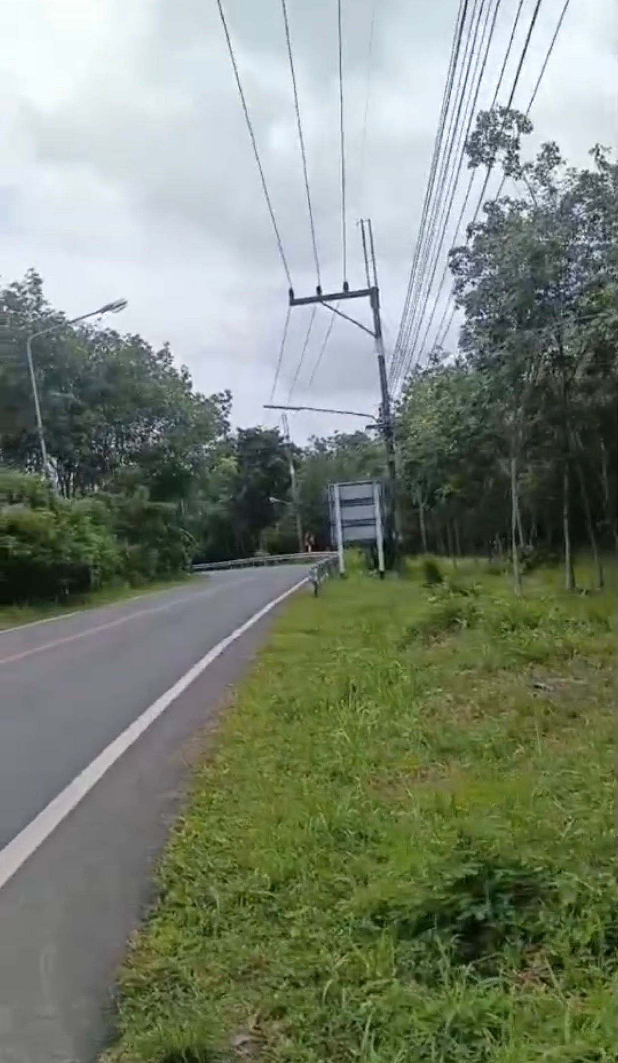 ขายที่ดินภูเก็ต ถลาง ที่ดินทำเลสวยในภูเก็ต