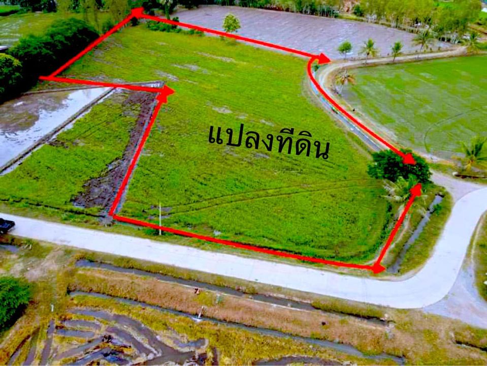 ขายที่ดินสุพรรณฯ อู่ทอง 5-2-37.7