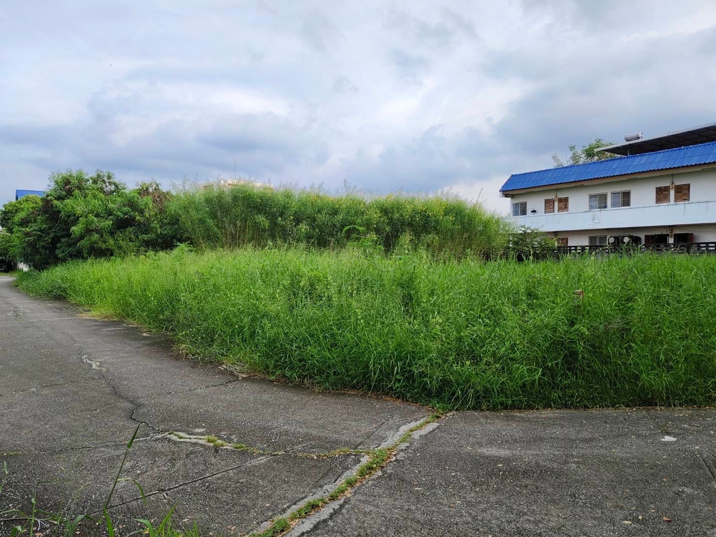 ขายที่ดินฉะเชิงเทรา อำเภอเมือง ที่ดินแปลงสวยทำเลดี เหมาะปลูกบ้านมาก แหล่งอำนวยความสะดวกรอบด้าน แบ่งขายได้ 