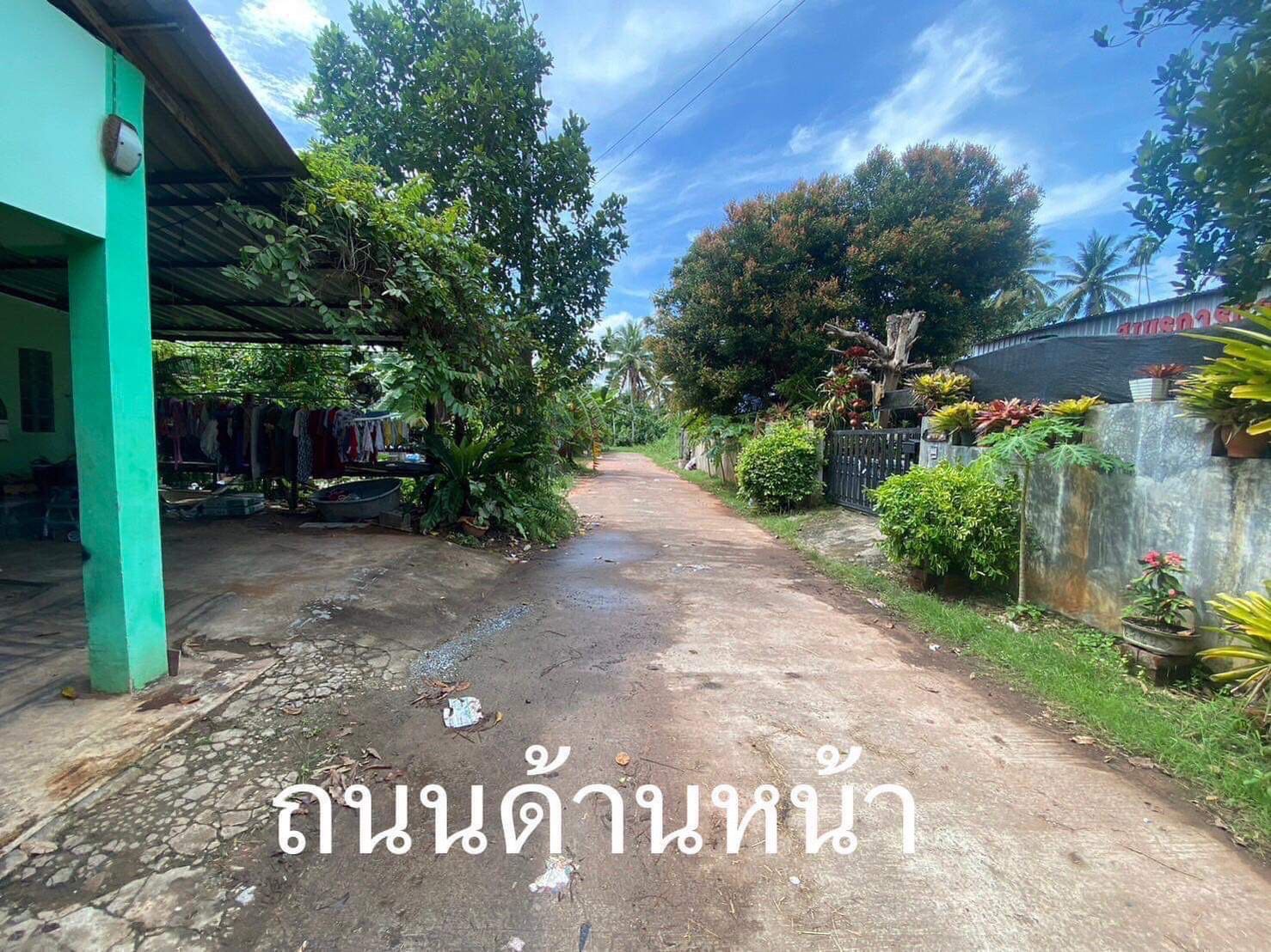 ขายบ้านสุราษฎร์ธานี อำเภอเมืองสุราษฎร์ธานี ที่ดินพร้อมบ้านขายด่วน