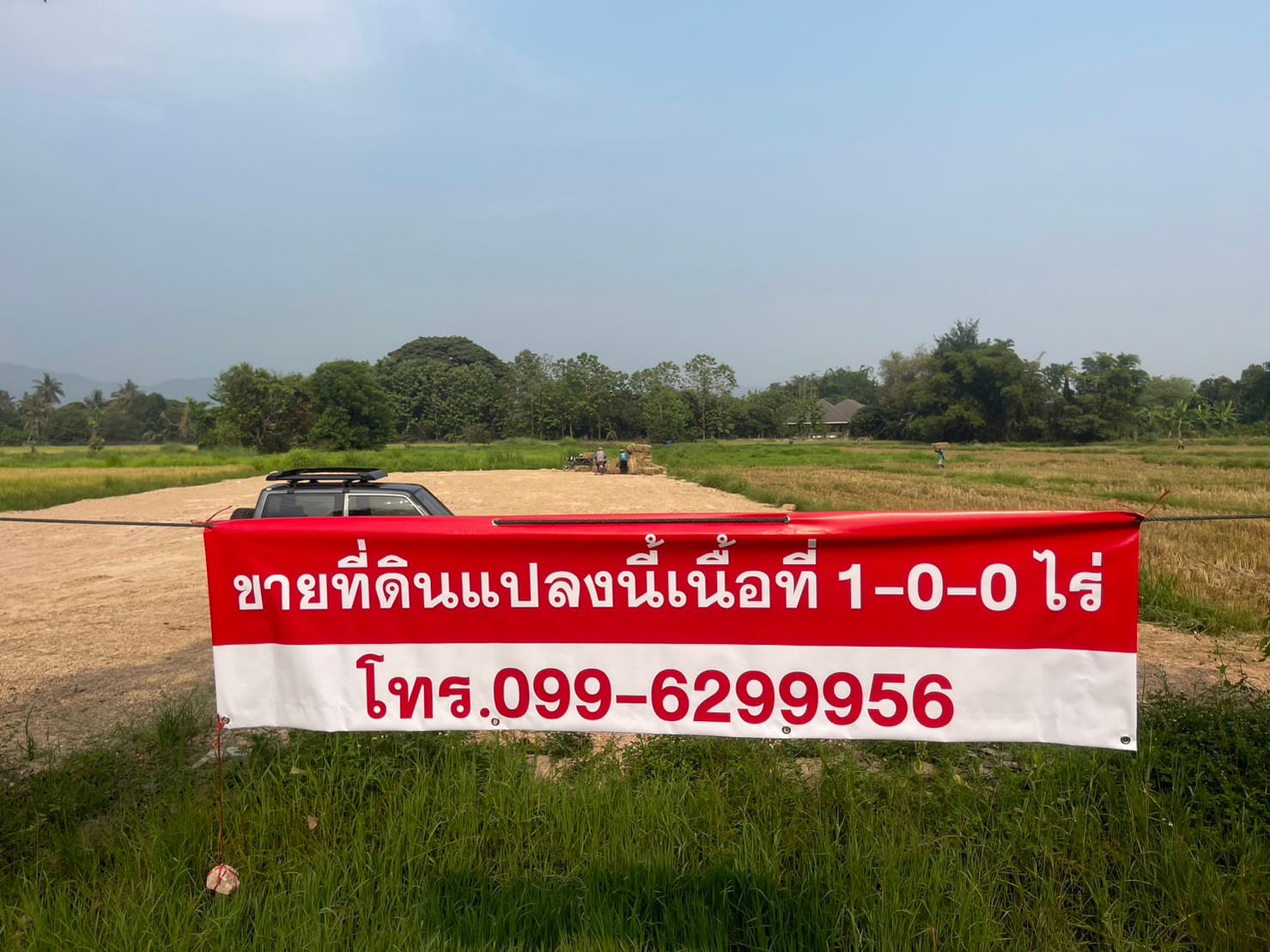 ขายที่ดินติดน้ำติดถนนวิวทุ่งนาอยู่ใกล้เขื่อนแม่กวงอุดมธารา